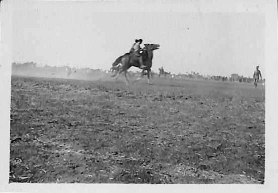 P3 Album 2 179.jpg