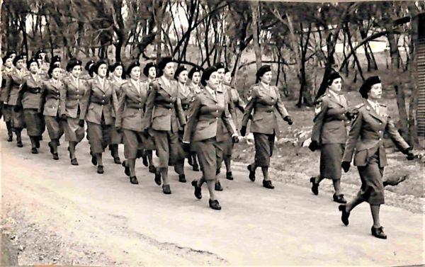 1954 August Camp, led by P McKissock and E Harler