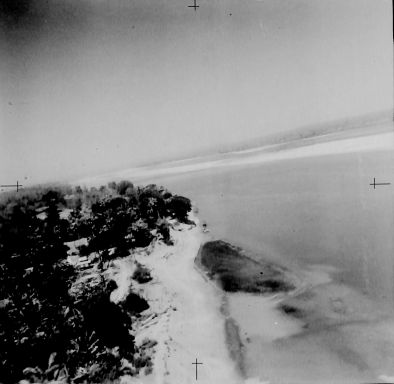 CD461 331.jpg