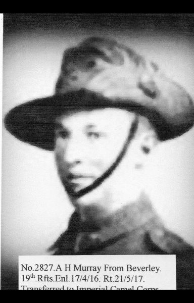 File:2827.Murray.jpg
