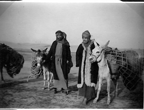 Arabs and their donkeys