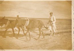 John Morley Campbell - WX6075 229.jpg