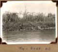 Fly River, New Guinea