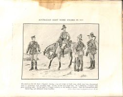 Australian Light Horse studies in 1915