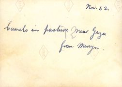 Mervyn 035.jpg