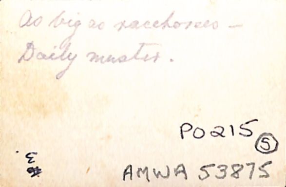P3 Album 2 044.jpg