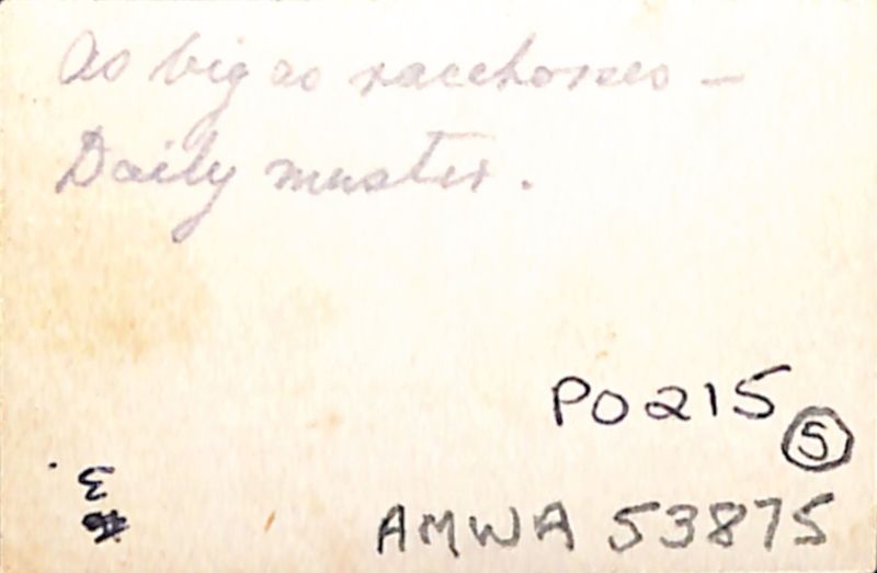 File:P3 Album 2 044.jpg