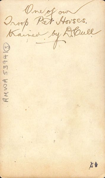 File:P3 Album 2 174.jpg