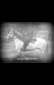 Thumbnail for version as of 17:01, 29 March 2024