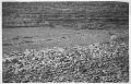 Thumbnail for version as of 15:47, 7 June 2025