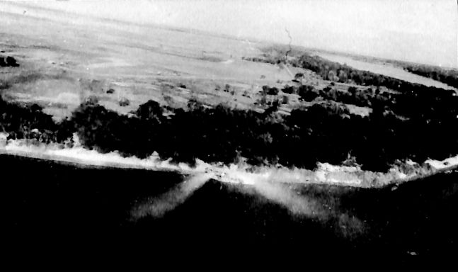 CD461 223.jpg