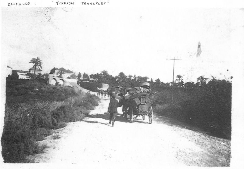 File:PD607.071.jpg