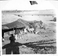 John Morley Campbell - WX6075 235.jpg