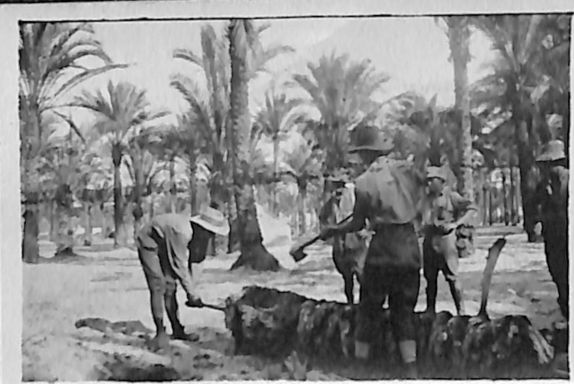 P3 Album 2 143.jpg