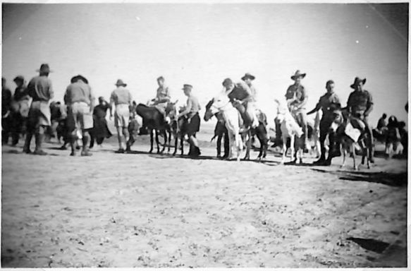 starting up at the donkey races