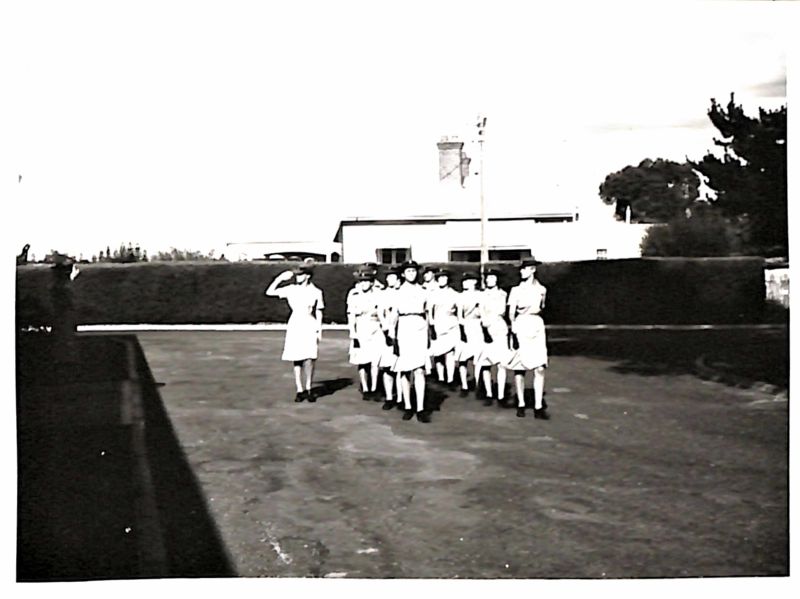 File:T22-RAANC.251.jpg