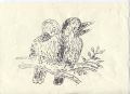 Thumbnail for version as of 15:15, 20 January 2024