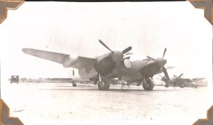 Mosquito