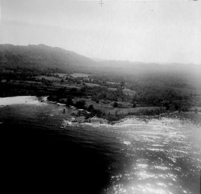 CD461 352.jpg