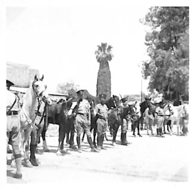 John Morley Campbell - WX6075 241.jpg