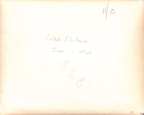 P2 Album 1 403.jpg