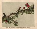 Thumbnail for version as of 15:43, 17 December 2023