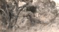 Thumbnail for version as of 14:20, 1 July 2024