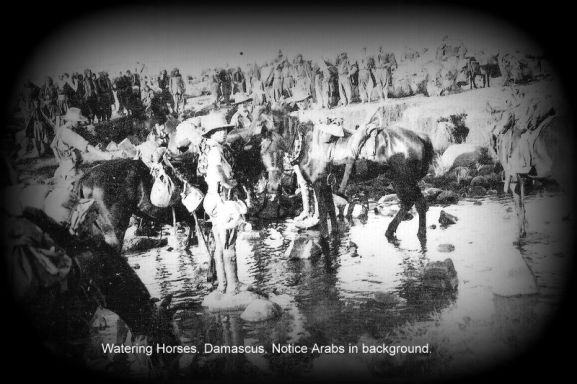 Watering Horses 3.jpg