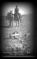 Thumbnail for version as of 16:45, 29 March 2024