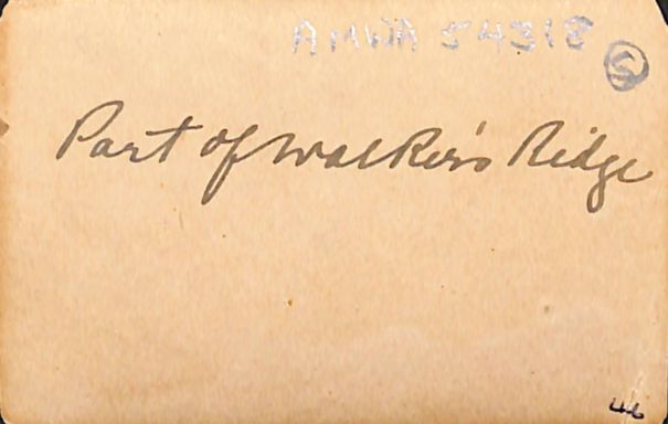 P2 Album 1 262.jpg