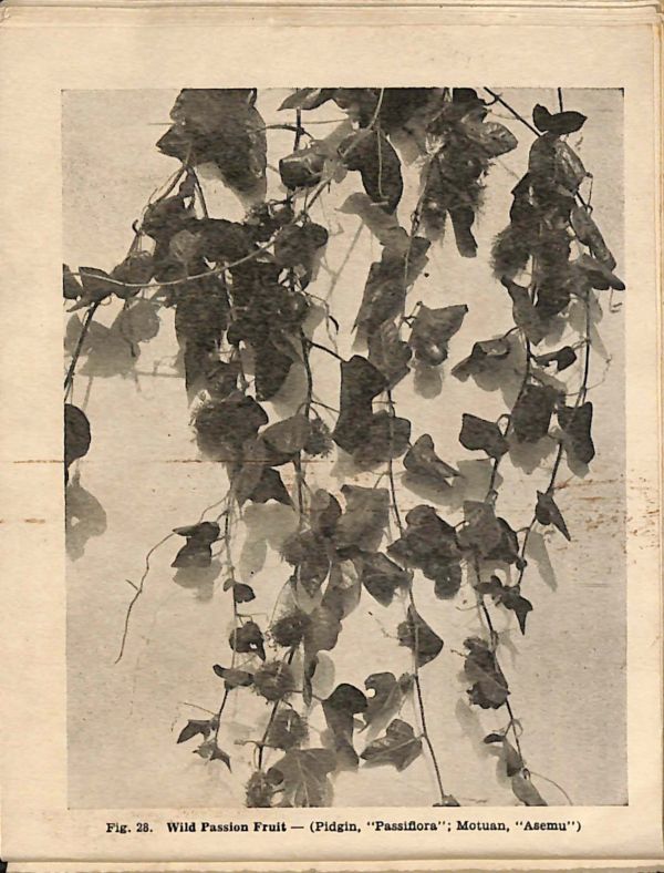 PD884.068.jpg