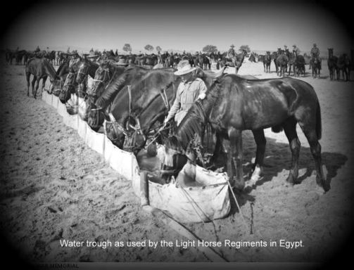 Watering Horses 1.jpg