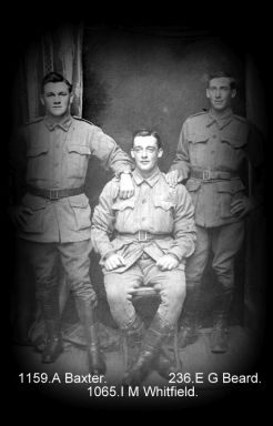WHITFIELD, Irwin Munro - 1065