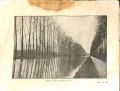 Thumbnail for version as of 13:51, 17 January 2024