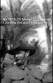Thumbnail for version as of 12:11, 9 April 2024