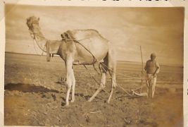 John Morley Campbell - WX6075 230.jpg