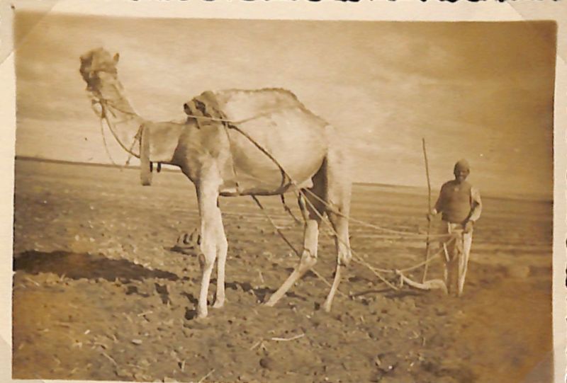 File:John Morley Campbell - WX6075 230.jpg
