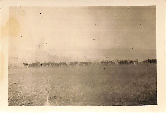 P2 Album 1 269.jpg