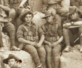 Thumbnail for version as of 12:53, 19 January 2024