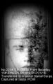 Thumbnail for version as of 12:19, 9 April 2024