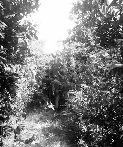 File:CD38.151.jpg