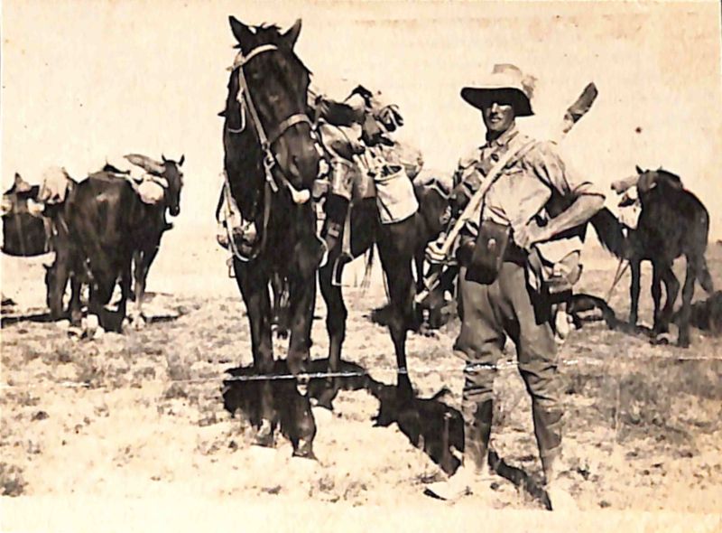File:P2 Album 1 003.jpg