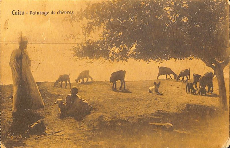 File:PD548.021.jpg