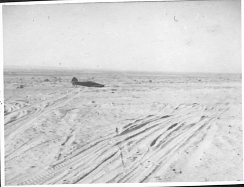 crash landings in the desert