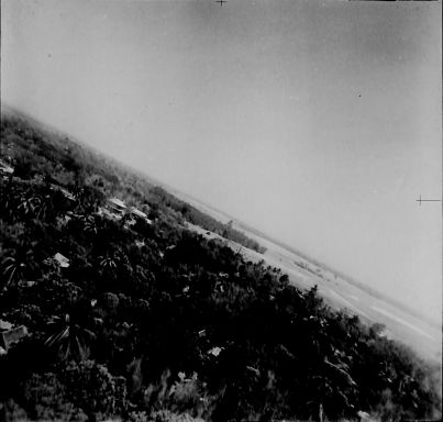 CD461 329.jpg