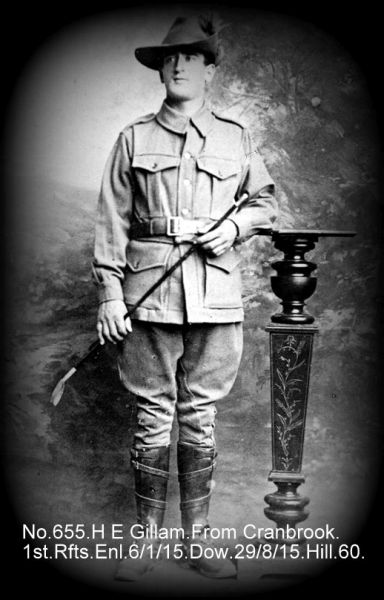 File:655.Gillam 2.jpg