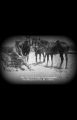 Thumbnail for version as of 17:01, 29 March 2024