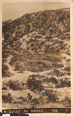 P2 Album 1 333.jpg