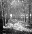 Thumbnail for version as of 19:21, 20 April 2024