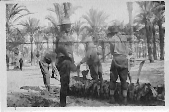 P3 Album 2 157.jpg